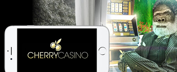 kasyno mobilne Cherry Casino 