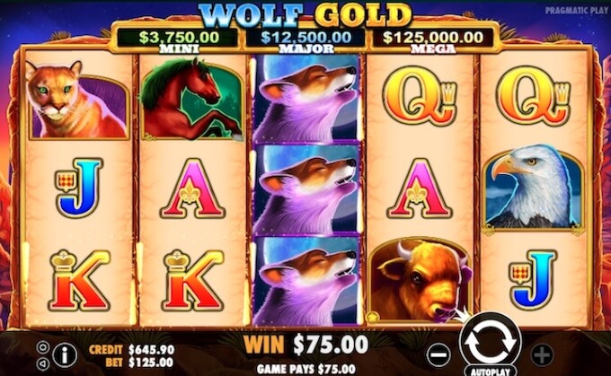 Wolf Gold automat funkcje slotu